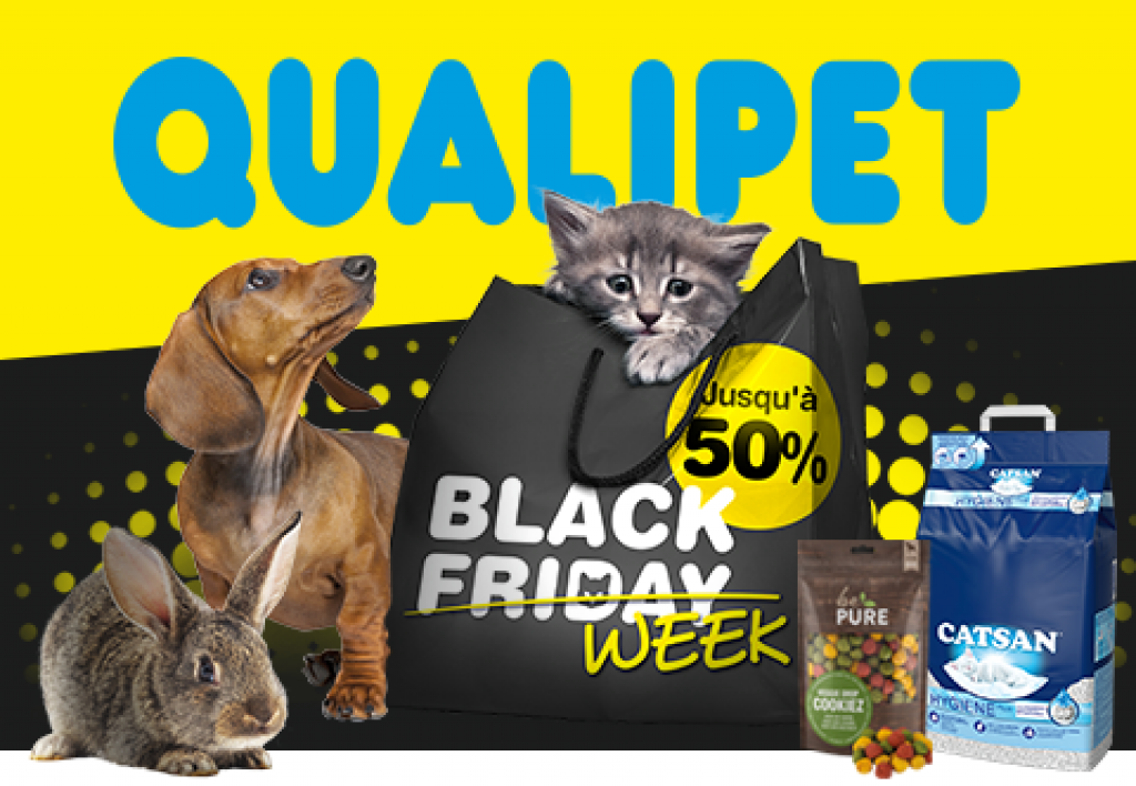 Black Friday 2025 Quand aura lieu l'événement shopping?