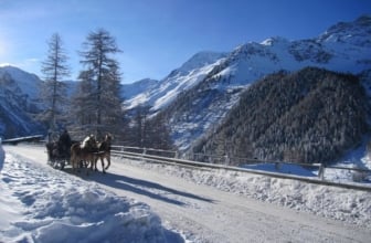 7 Nächte im MyPARADIES Südtirol – 2P.