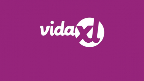 VidaXL