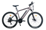 VTT électrique ZENITH X-SPORT ZXM